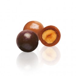 NOISETTES CHOCO LAIT
